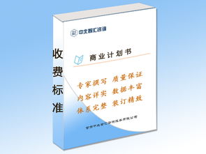 白銀地區(qū)專業(yè)商業(yè)計(jì)劃書編制指南與文化經(jīng)紀(jì)人服務(wù)